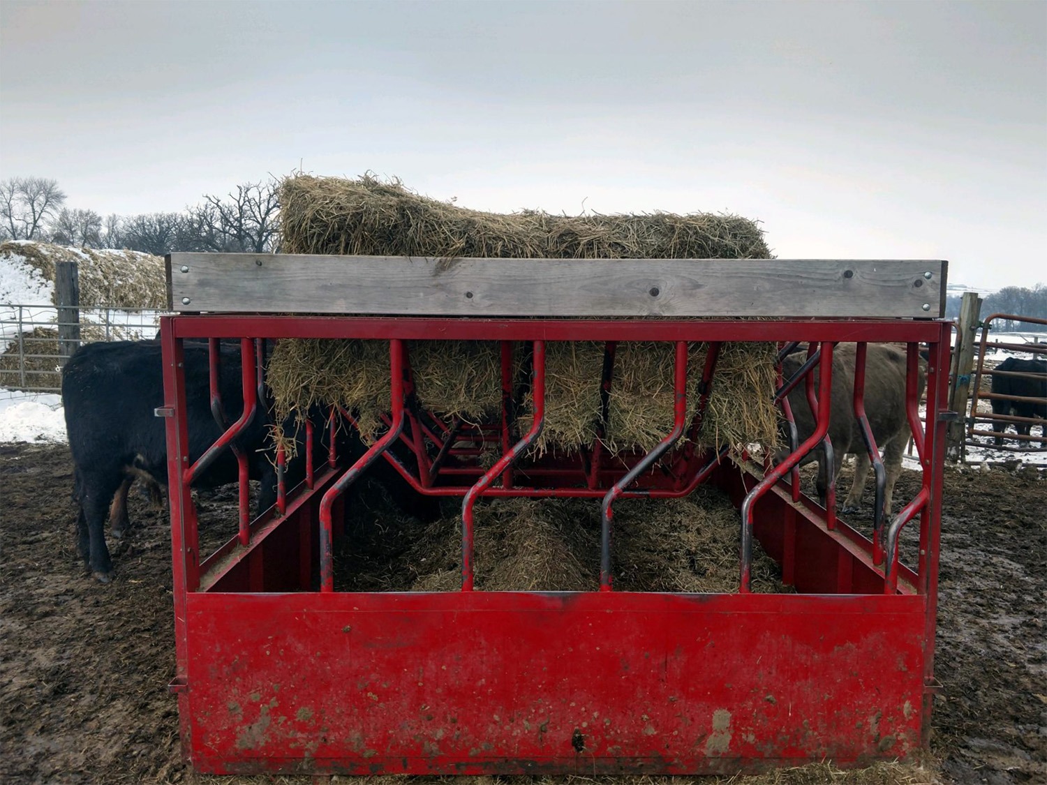 Cattle Hay Feeder Hay Mizer