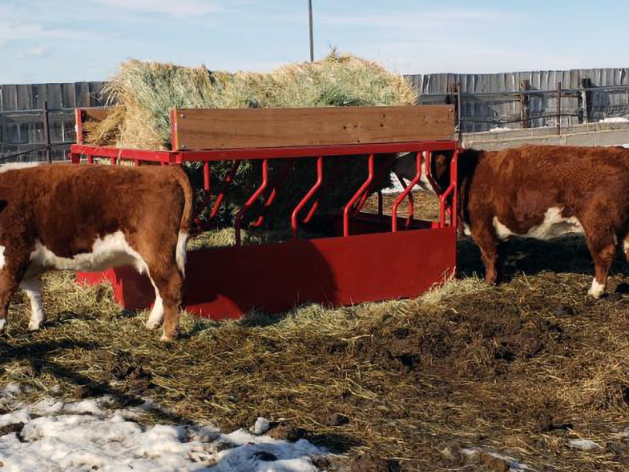 Miniature Livestock Hay Feeder THE HAYMIZER®